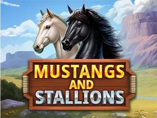 Mustang And Stallions